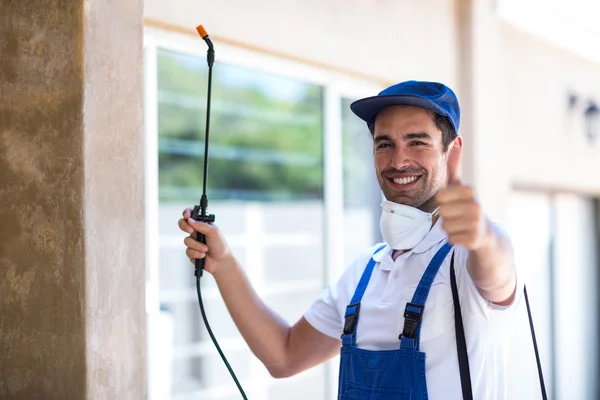 San Benito Wasp Removal