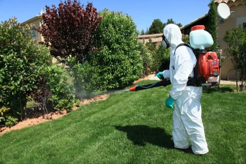 San Benito Mosquito Control