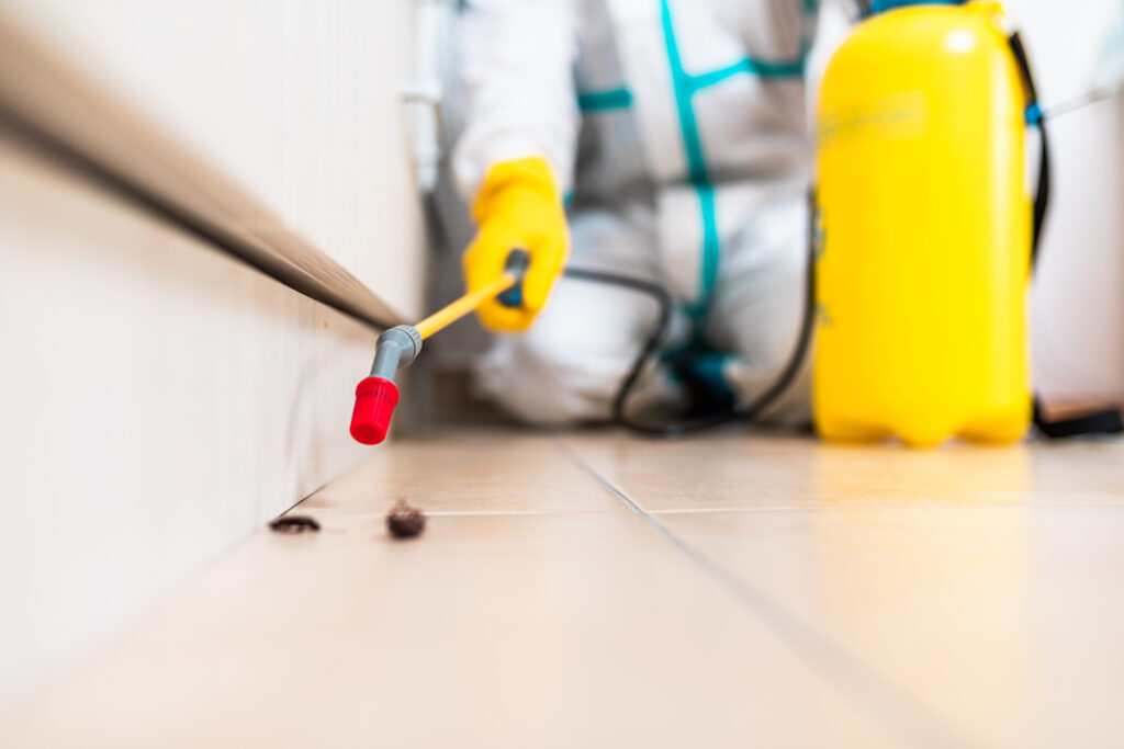 San Benito Cockroach Experts