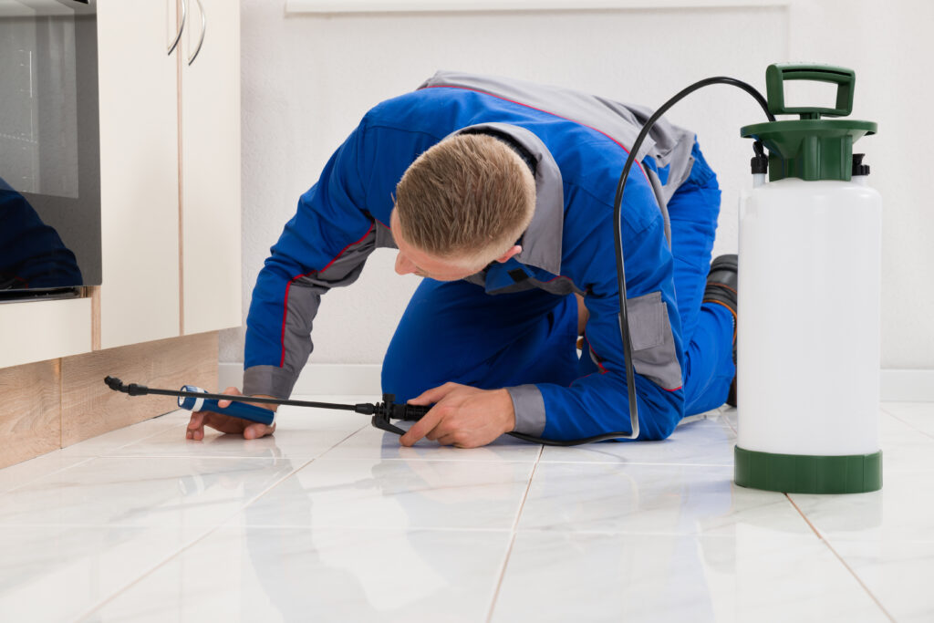 San Benito Ant Control Xperts