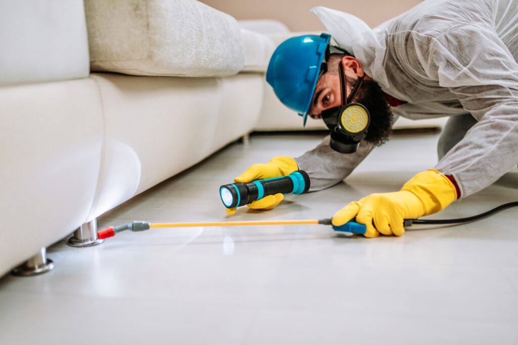 San Benito Termite Control