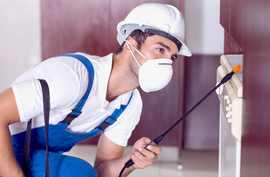 San Benito local pest services