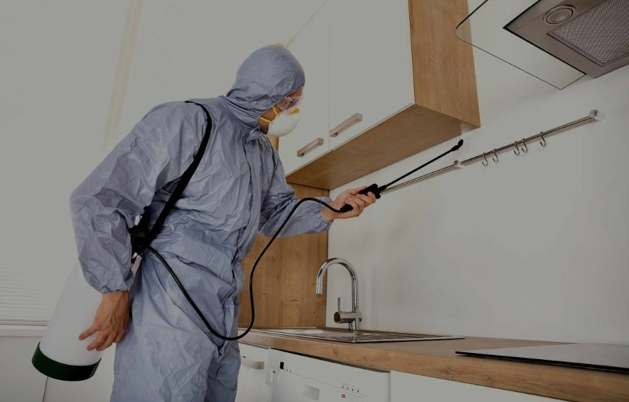 San Benito pest managment